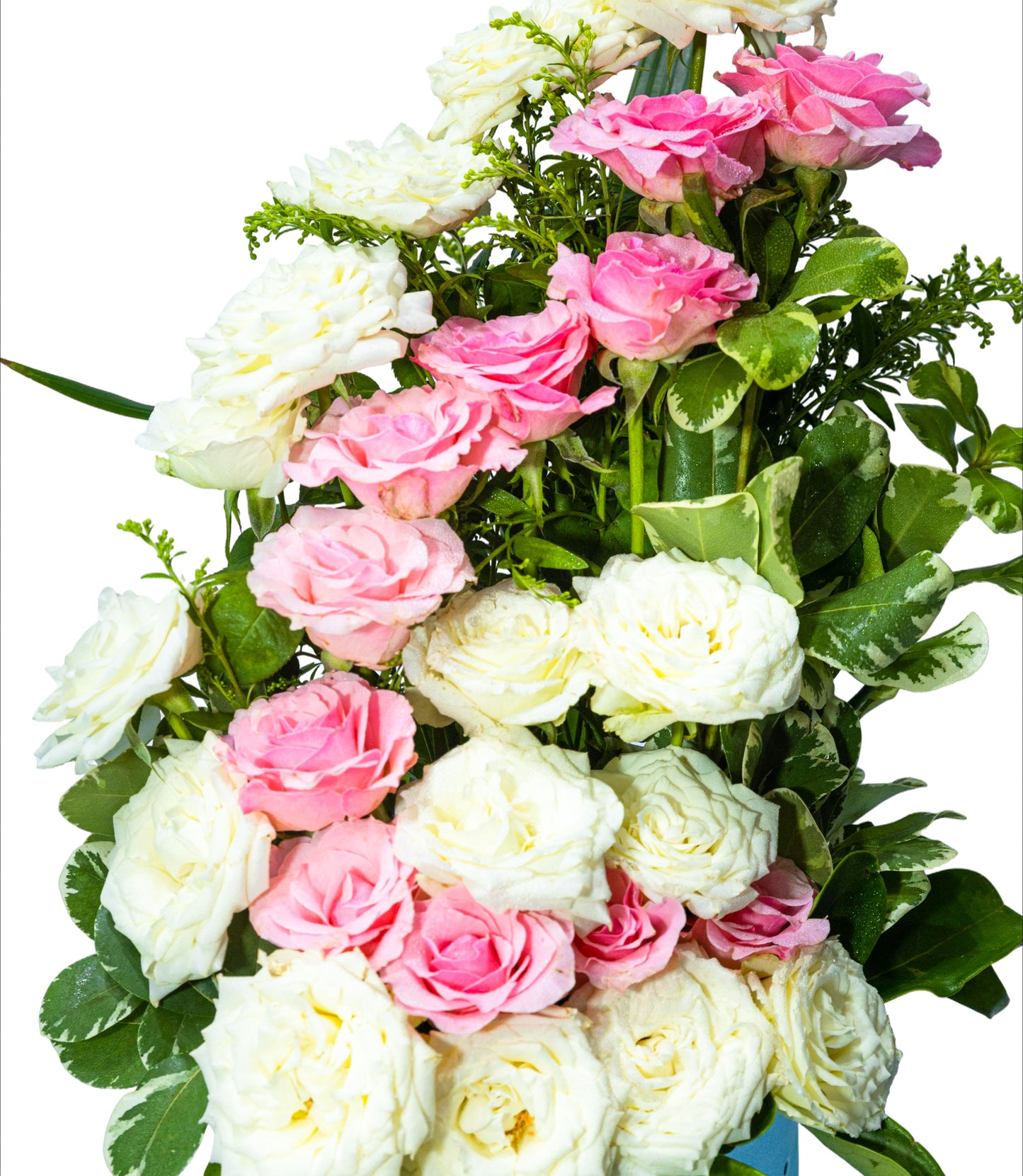 Blush Harmony Flower Box