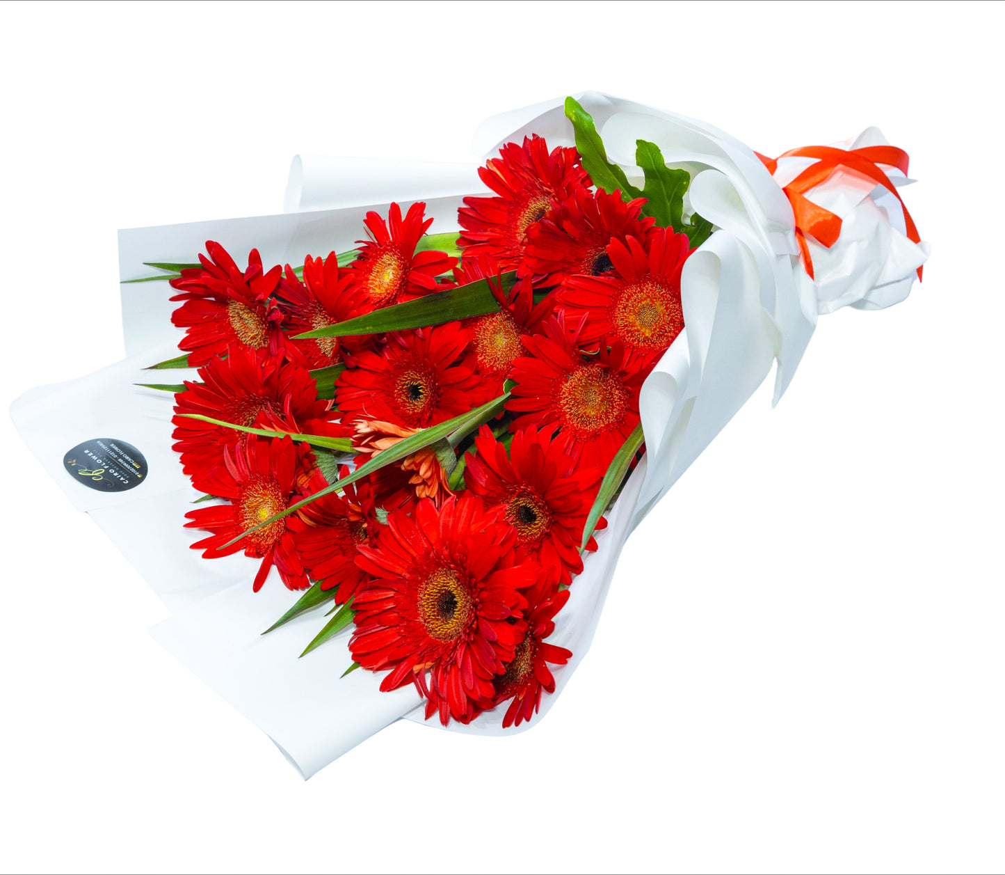 Bold & Beautiful – Red Gerbera Hand Bouquet