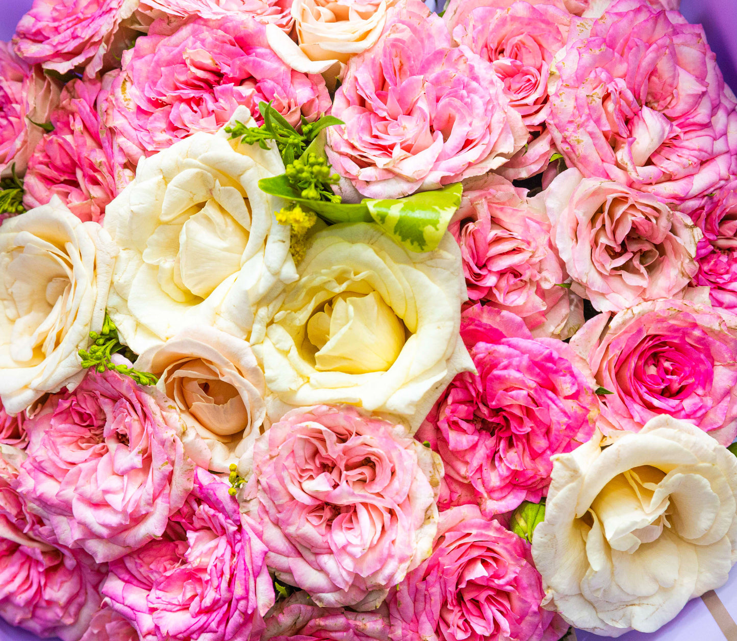 Blush Pink Elegance Bouquet