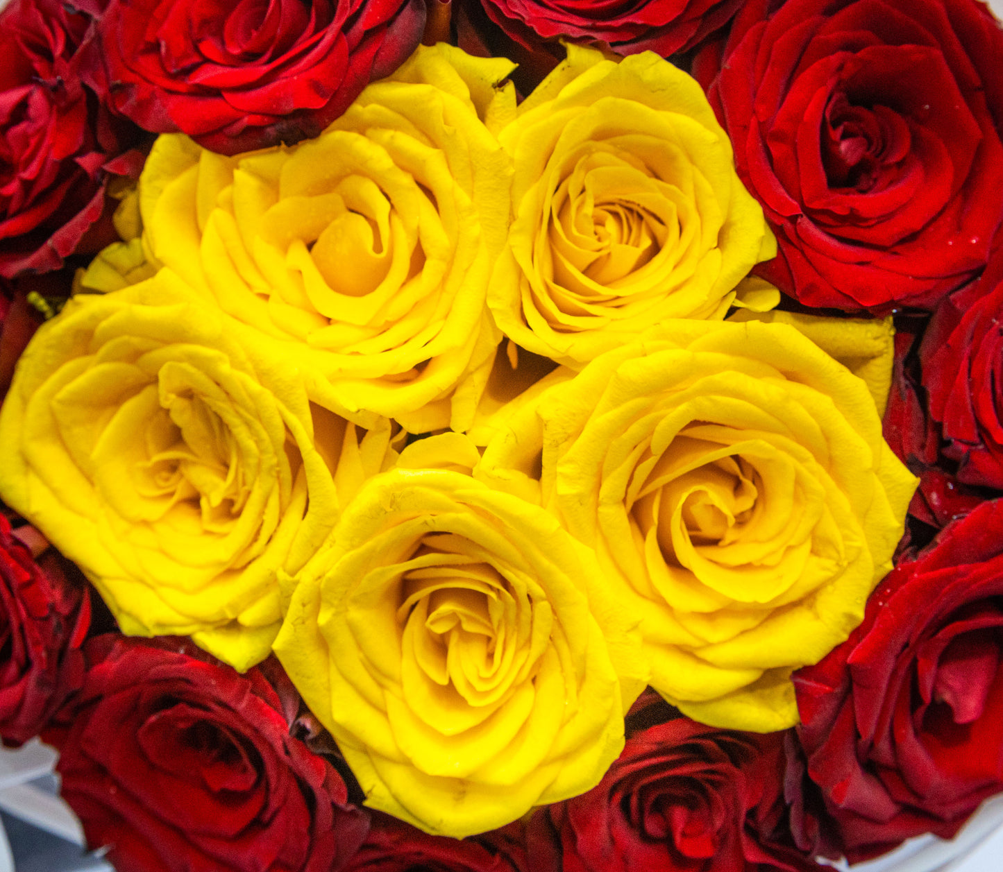 Red & Yellow Rose Harmony Bouquet