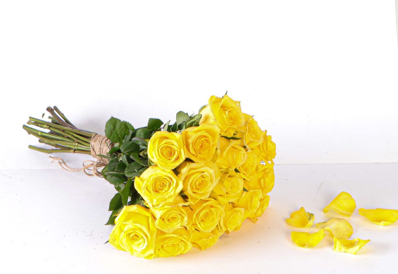 Sunny Yellow Bliss