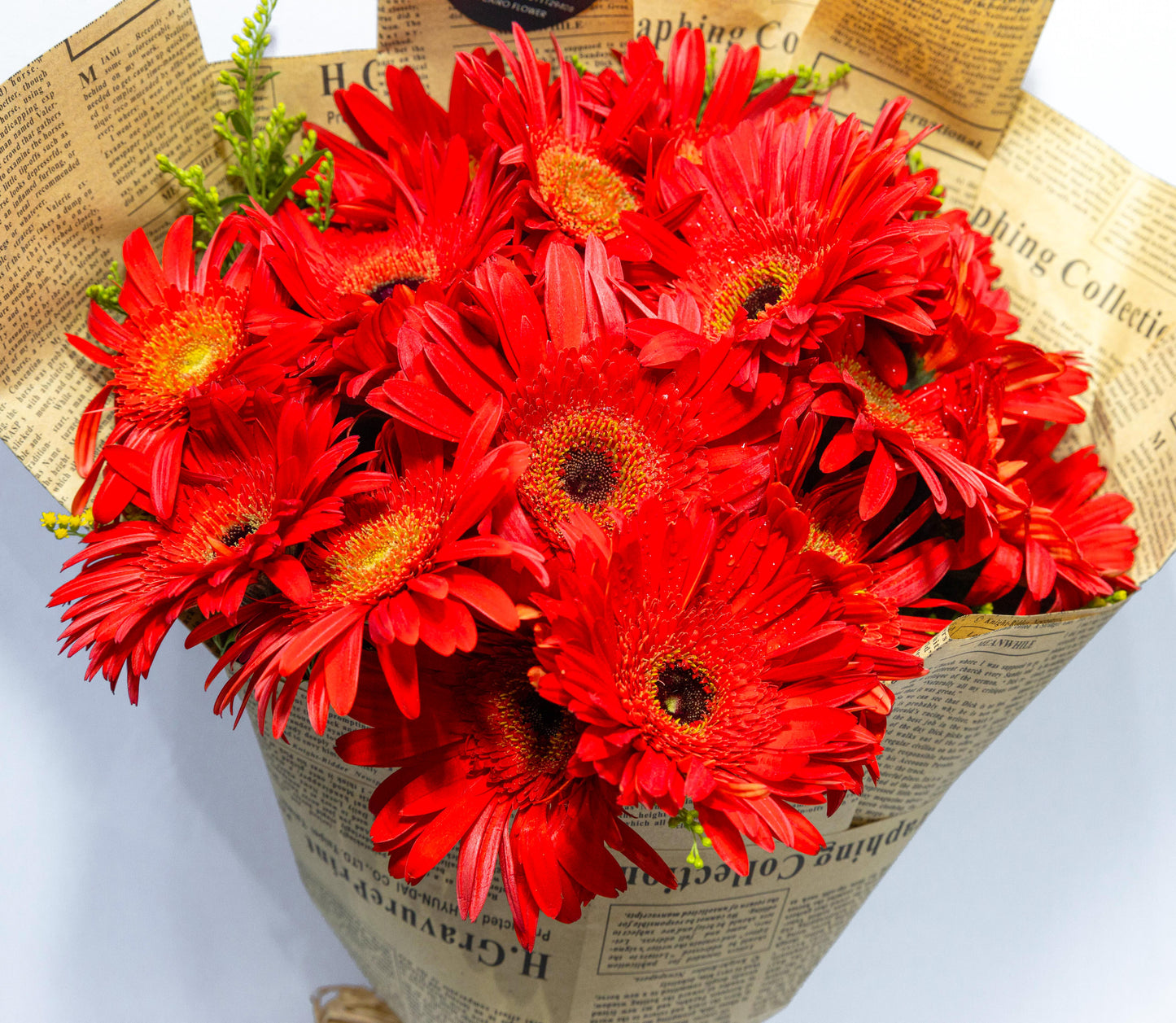 Vintage Charm – Red Gerbera Bouquet