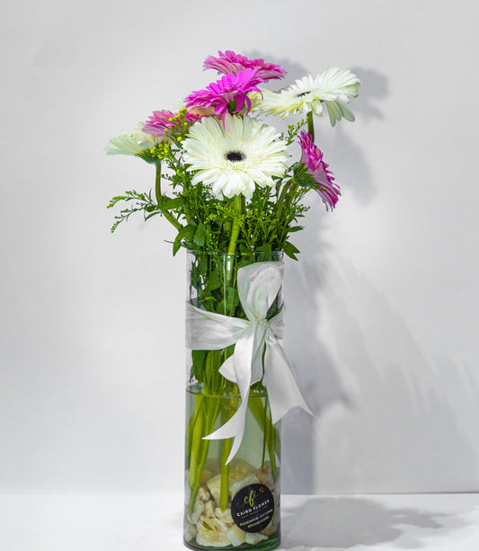 Gentle Grace – Gerbera Arrangement in Tall Vase