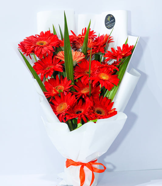 Bold & Beautiful – Red Gerbera Hand Bouquet