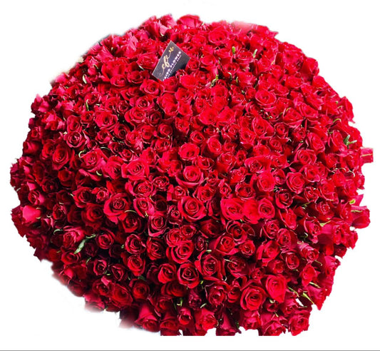 Grand Symphony – 400 Imported Roses